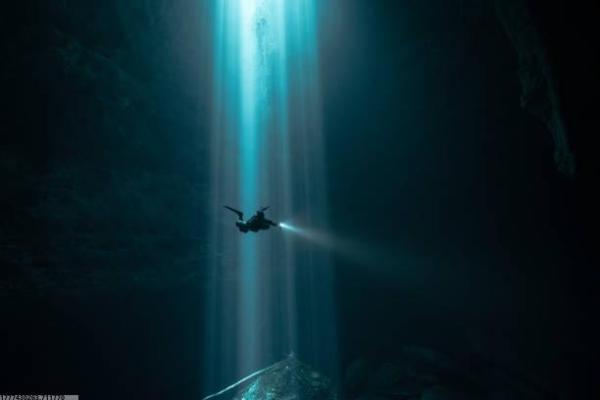 体育培训宣传物料如何提升转化率(图1)