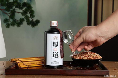 全国哪的白酒最好喝 经评鉴,这5款白酒名列前茅,有你的家乡吗