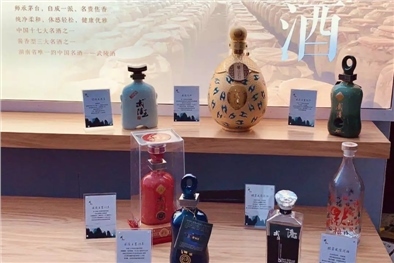 高软科技-创新型技术服务商