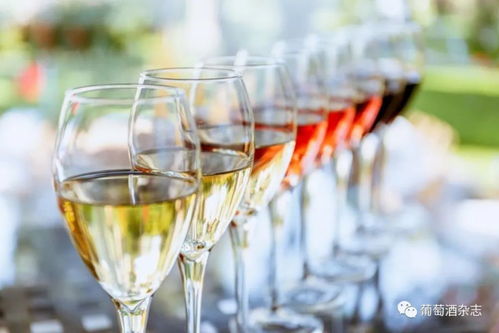酒类批发新路径 B2B电商平台月销近百万的葡萄酒进货渠道